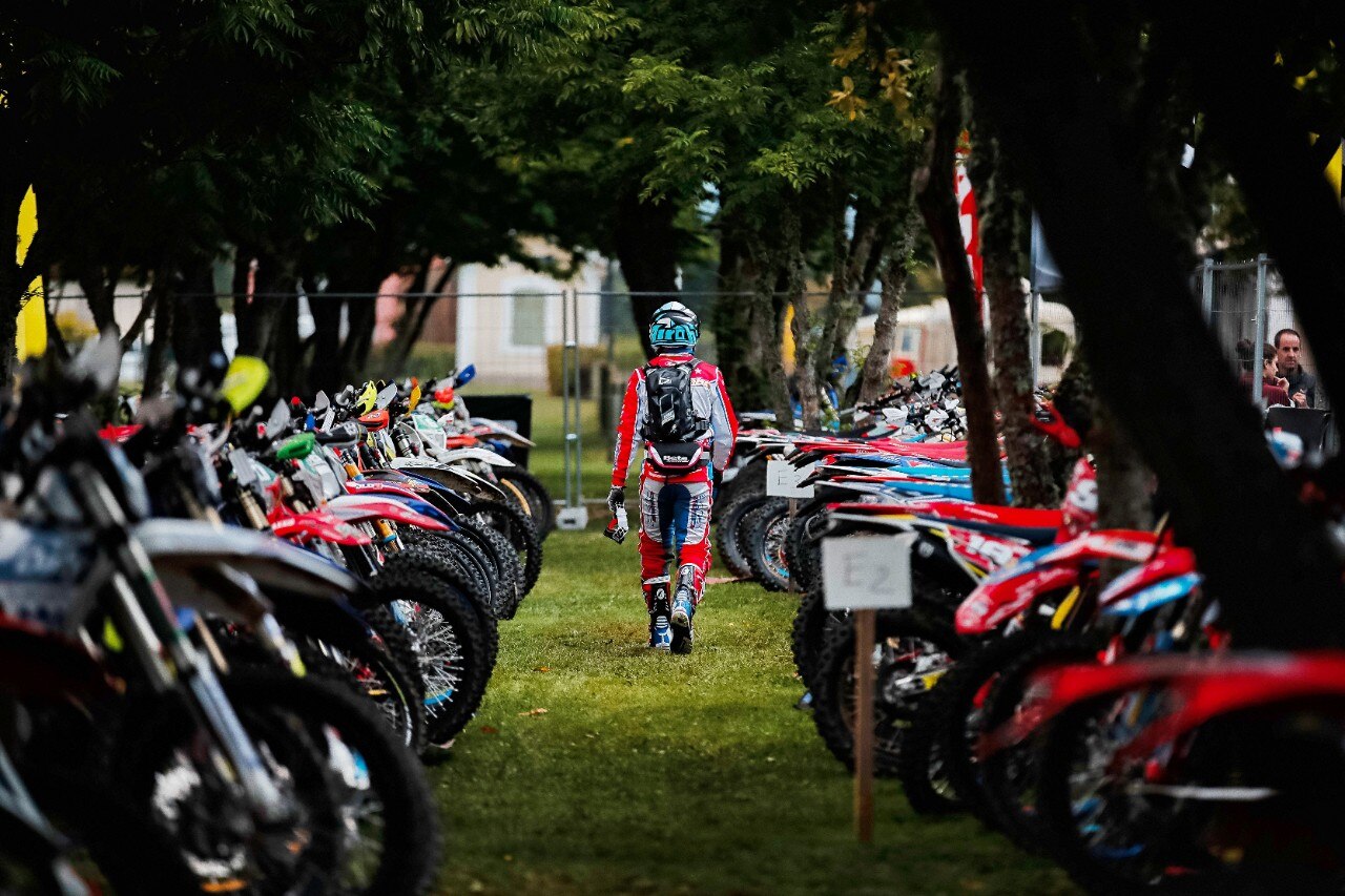 Steve Holcombe: ME LI BEVO TUTTI!